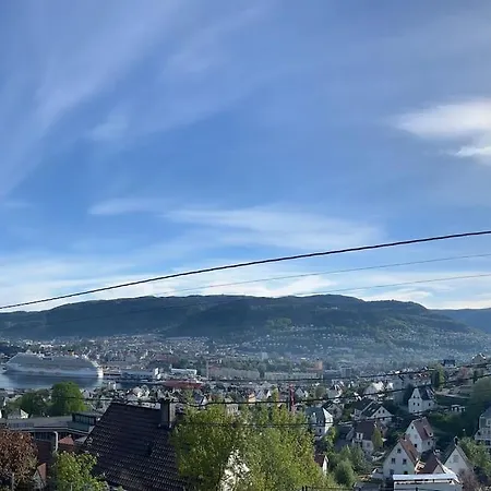 Central With View 公寓 卑爾根